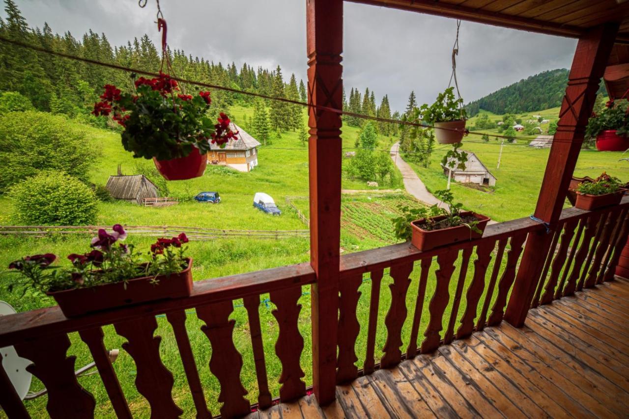 Cabana Cret Ocoale Экстерьер фото